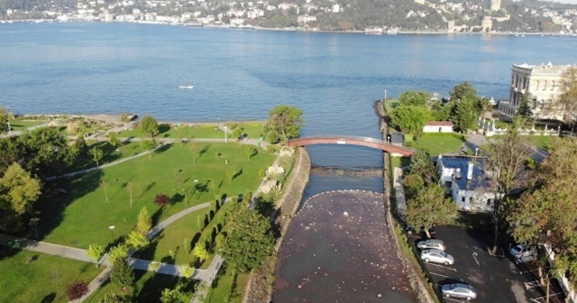 İstanbul'da şoke eden görüntü: Denize çöp aktı