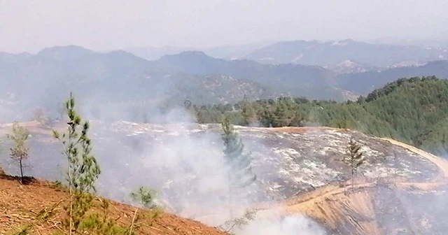 Kahramanmaraş&#039;taki yangınlarda 65 hektar orman alanı zarar gördü