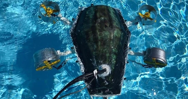 Kaplumbağadan ilham alan üniversiteli 7 genç 'su altı drone' prototipi üretti