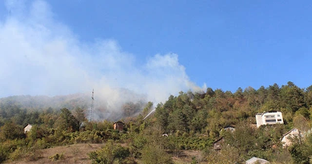 Kastamonu&#039;da orman yangını