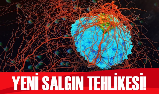 Koronavirüs benzeri yeni virüs! Salgın uyarısı yapıldı