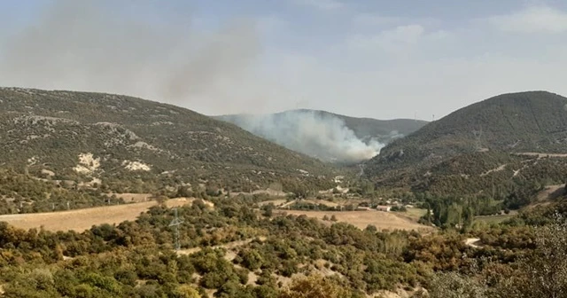 Manisa&#039;da 8 hektar ormanlık alan yangında kül oldu