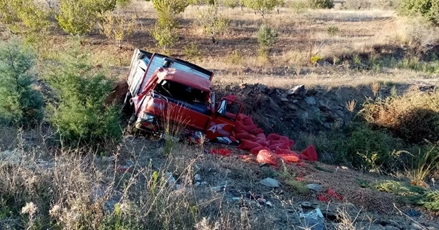 Manisa&#039;da badem yüklü kamyonet devrildi: 2 yaralı