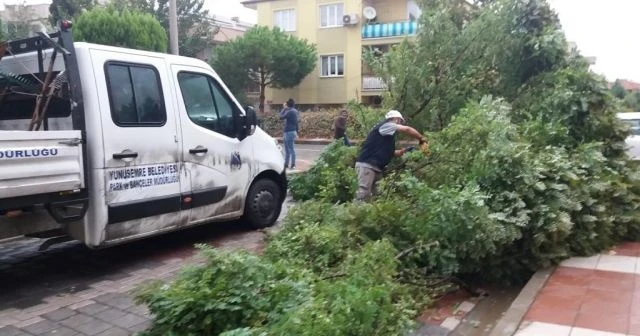 Manisa&#039;da etkili olan fırtına bazı ağaçları devirdi