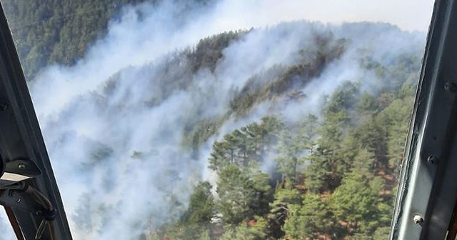 Mersin&#039;de orman yangını nedeniyle 50 ev tahliye edildi
