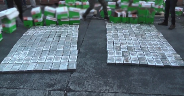 Mersin Limanı'nda 220 kilo kokain ele geçirildi
