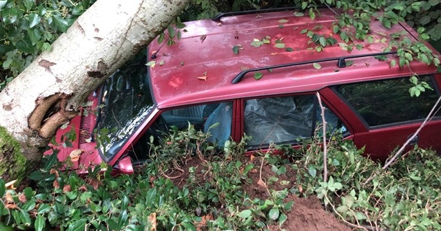 Rize&#039;de şiddetli yağış, 2 araç toprak altında kaldı