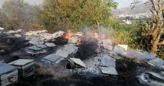 Samandağ&#039;daki yangın sigara izmaritten çıkmış