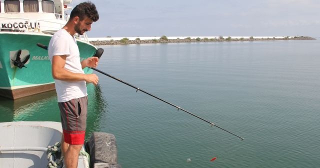 Samsun’da balıkçılar 2 haftadır ağ atamıyor