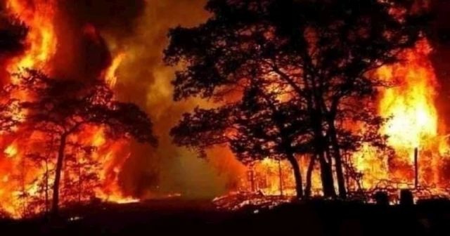 Suriye’deki orman yangınında ölü sayısı 3&#039;e yükseldi
