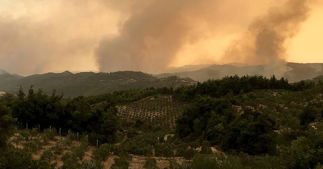 Suriye'deki orman yangınları sürüyor