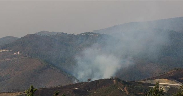 Suriye&#039;nin Hatay sınırındaki orman yangını sürüyor