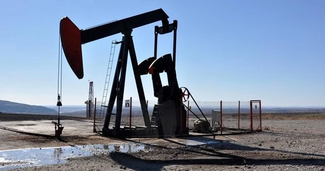 TP'den petrol arama ruhsat başvurusu