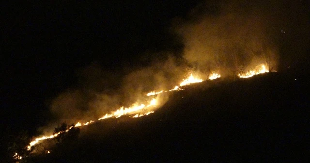 Trabzon'un Akyazı mahallesinde örtü yangını