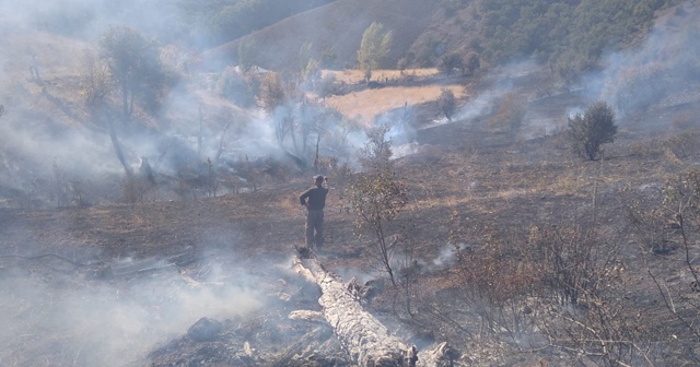 Tunceli’de iki noktada yangın çıktı