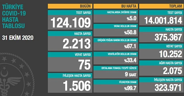 Türkiye’de koronavirüste son durum: 2213 yeni hasta, 75 can kaybı