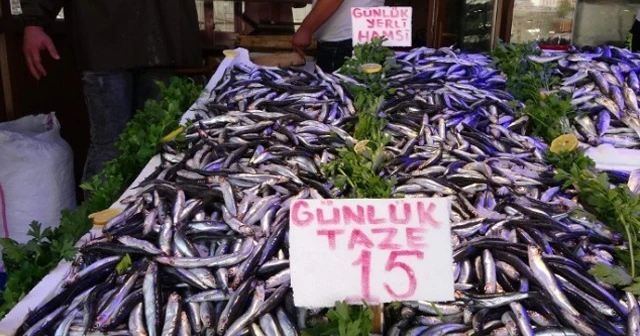 Yerlisi çıktı, kilosu 40 TL'den 15 TL'ye düştü