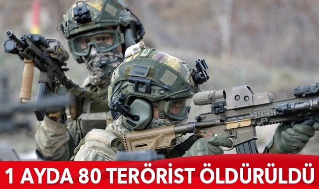 1 ayda 80 terörist öldürüldü