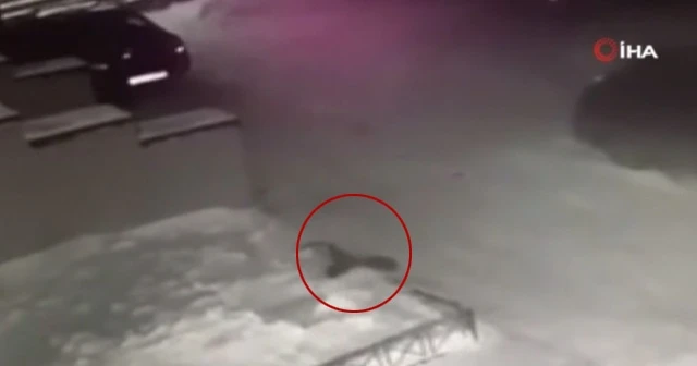 4'ncü kattan düşen çocuğu kar birikintisi kurtardı
