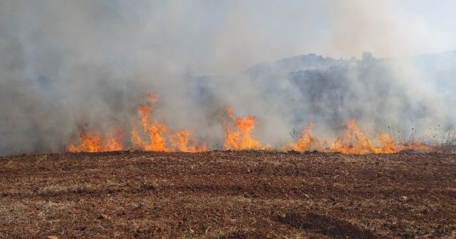 Antalya’da makilik alanda yangın