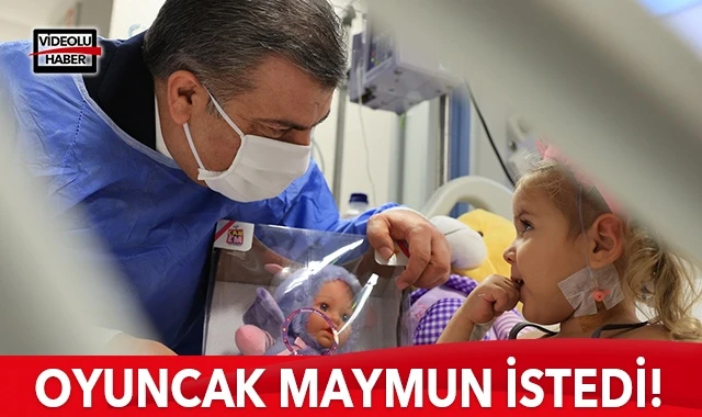 Ayda, Sağlık Bakanı Koca’dan oyuncak maymun istedi