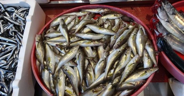 Balık fiyatlarının ateşi düşmedi