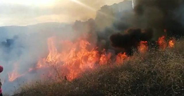 Bilecik’te makilik alanda yangın