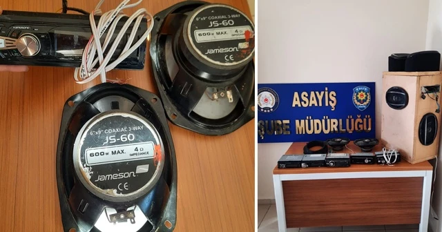 Çocuk yaştaki oto faresi yakalandı
