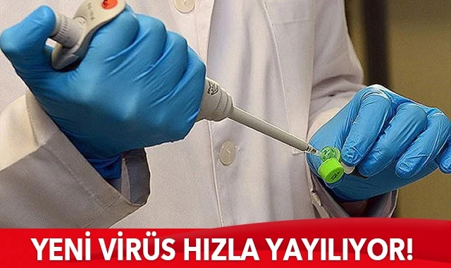 Dünya şokta! Yeni virüs Cluster-5 hızla yayılıyor