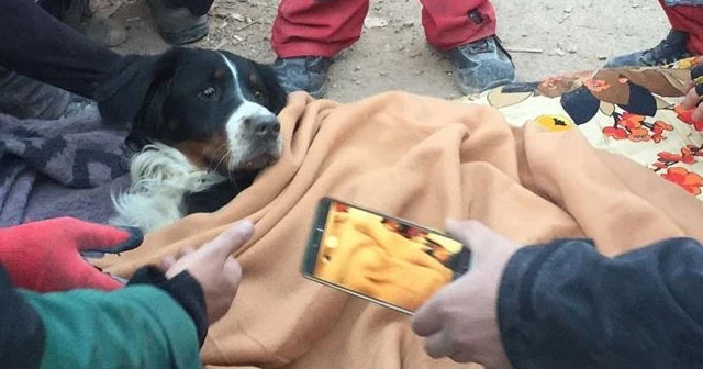 Enkazdan kurtarılan Gizem, köpeği Ares'e kavuştu