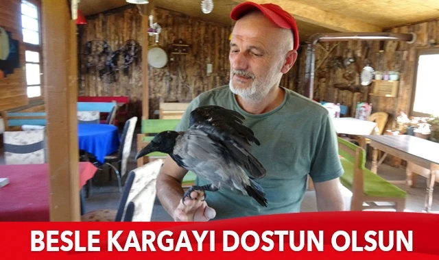 Esnaf ile karganın dostluğu görenleri şaşırtıyor