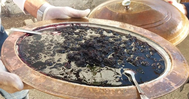 Fiyatı dudak uçuklatıyor, kanser ve tümör hücrelerini uzaklaştırıyor