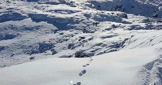 Göller ve akarsular buz tuttu