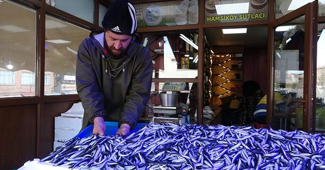 Hamsi fiyatları günden güne değişiyor