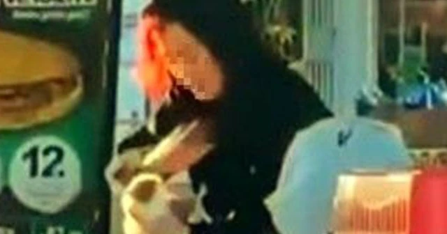 Hamster'e tokat ve ısırık cezasız kalmadı