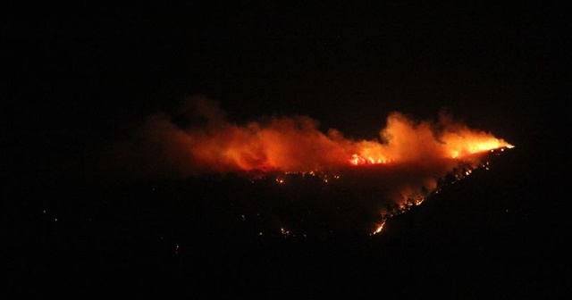 Hatay&#039;da orman yangını söndürüldü