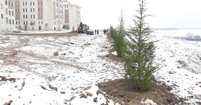 Her yer bembeyaz oldu ama fidan dikimi aralıksız devam etti