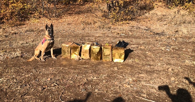 Jandarma Bitlis&#039;te 100 kilogram patlayıcı madde ele geçirdi