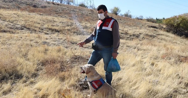 Kaybolan yaşlı kadını 'Dost' buldu