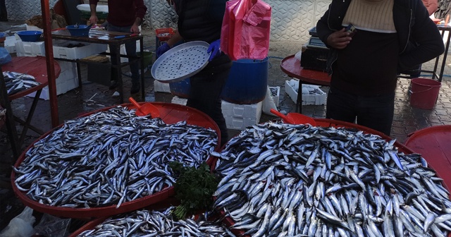 Kilosu 10 TL&#039;ye kadar düşen hamsi fiyatı ile vatandaşın yüzünü güldürdü