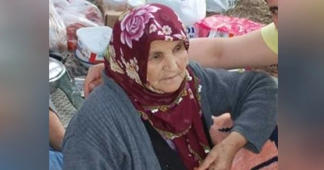 Mantar toplamaya gittiği dağda kayboldu