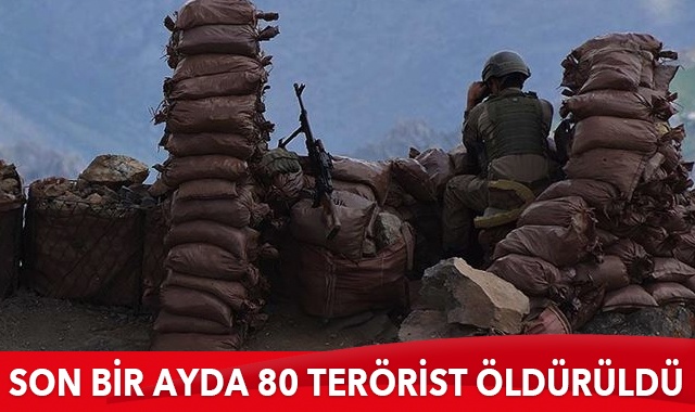 MSB: Son bir ayda 80 terörist öldürüldü