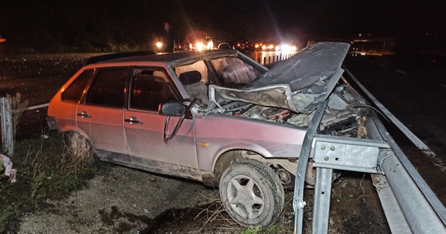 Otomobil önce hayvana çarptı ardından bariyere saplandı