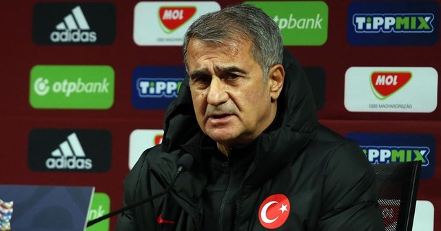 Şenol Güneş: Euro üzerinden maaş alan Türk var mı?