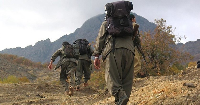 Şırnak&#039;ta 2 terörist ikna yoluyla teslim oldu