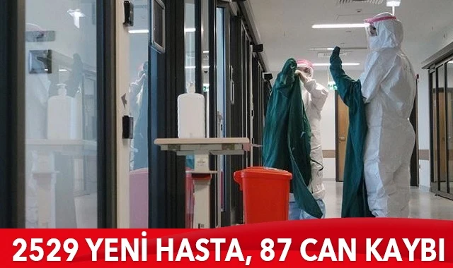 Türkiye’de koronavirüste son durum: 2529 yeni hasta, 87 can kaybı