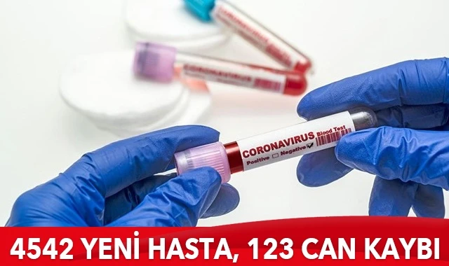 Türkiye’de koronavirüste son durum: 4542 yeni hasta, 123 can kaybı