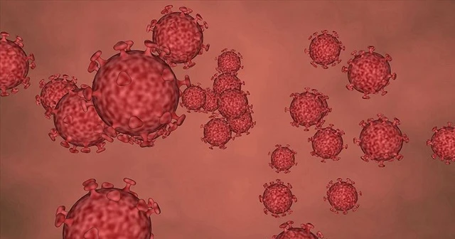 ''Covid-19 kalpte kalıcı hasar bırakabiliyor ''