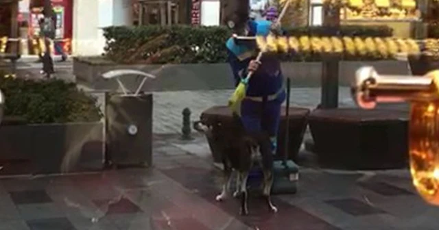 Arnavutköy'de yürek ısıtan görüntü
