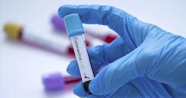 Avrupa’da Covid-19'a bağlı can kaybı 500 bini aştı